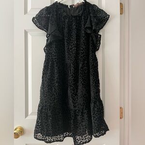 Loft Velvet Cheetah Dress